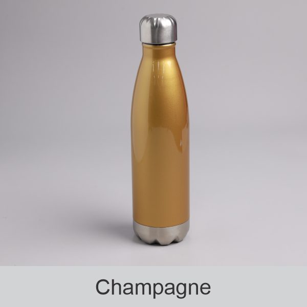 Insulated Bottle